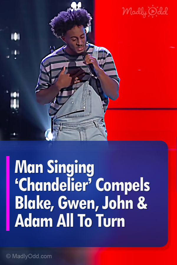 Man Singing ‘Chandelier’ Compels Blake, Gwen, John & Adam All To Turn