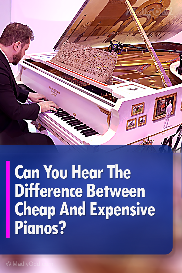 Can You Hear The Difference Between Cheap And Expensive Pianos?