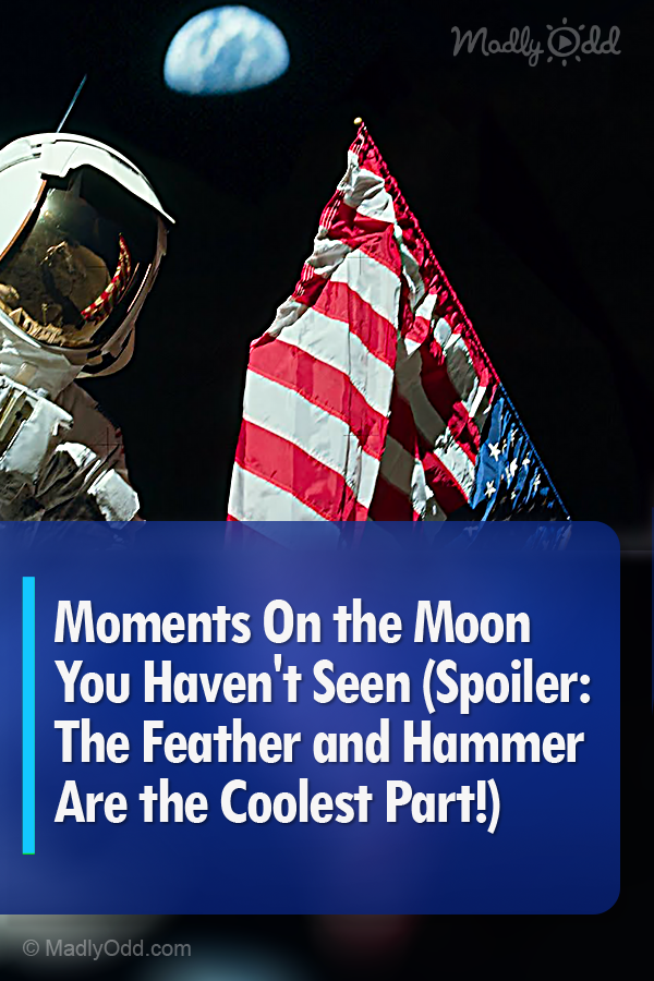 Moments On the Moon You Haven\'t Seen (Spoiler: The Feather and Hammer Are the Coolest Part!)