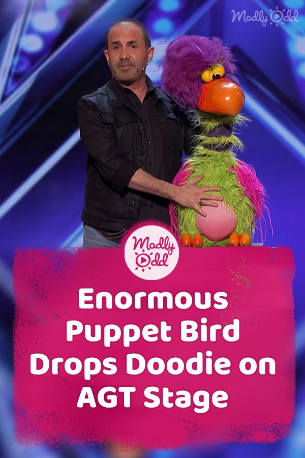 Enormous Puppet Bird Drops Doodie on AGT Stage