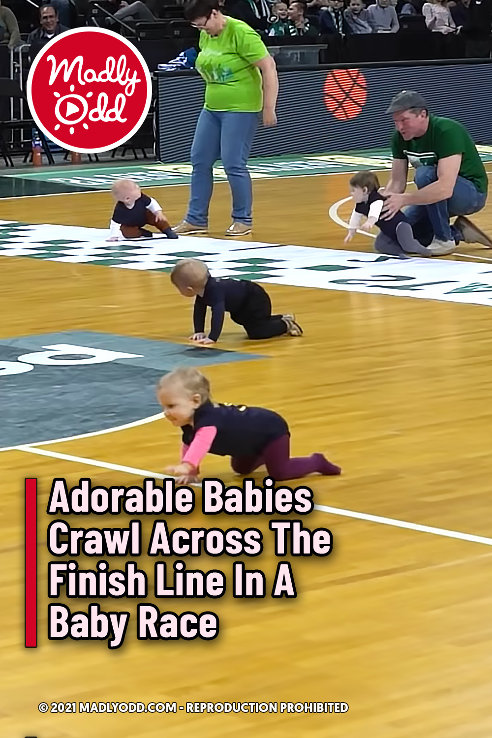 Adorable Babies Crawl Across The Finish Line In A Baby Race
