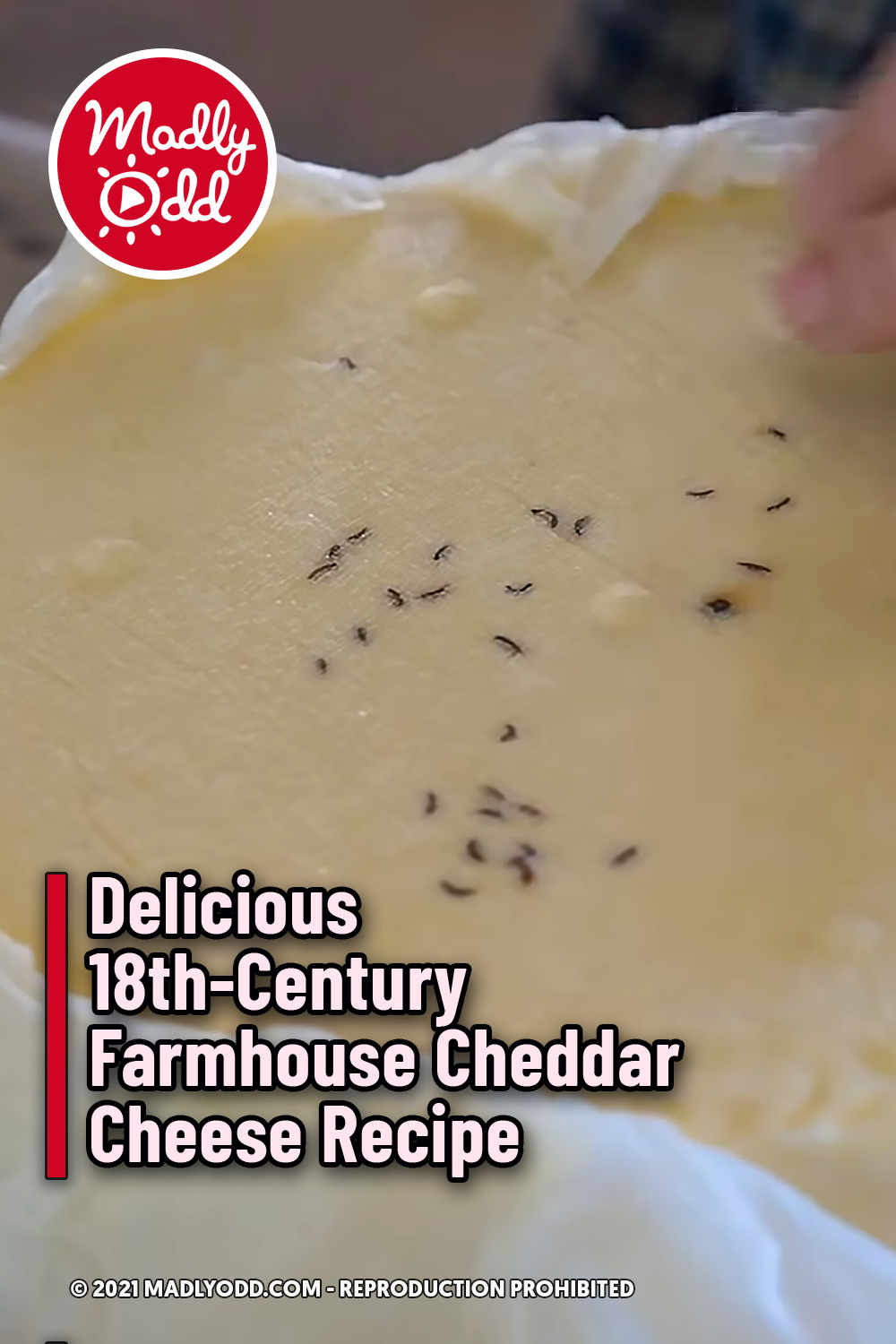 Delicious 18th-Century Farmhouse Cheddar Cheese Recipe