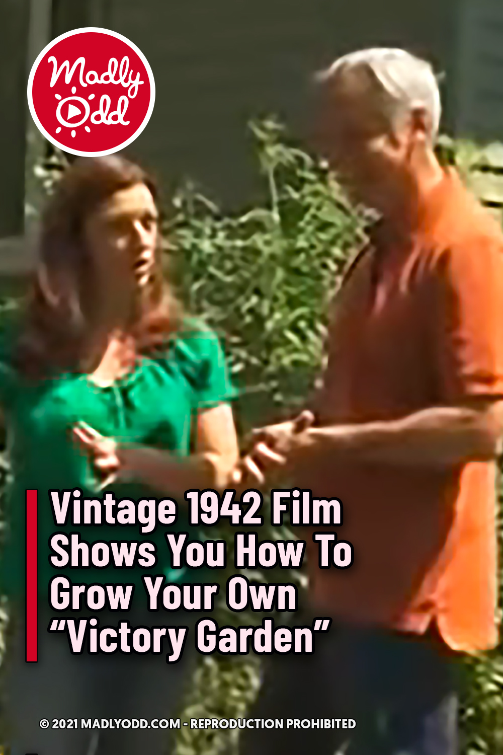 Film Shows You How To Grow Your Own \