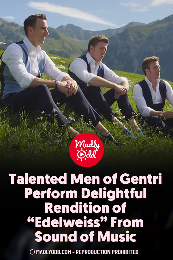 Talented Men of Gentri Perform Delightful Rendition of “Edelweiss” From Sound of Music