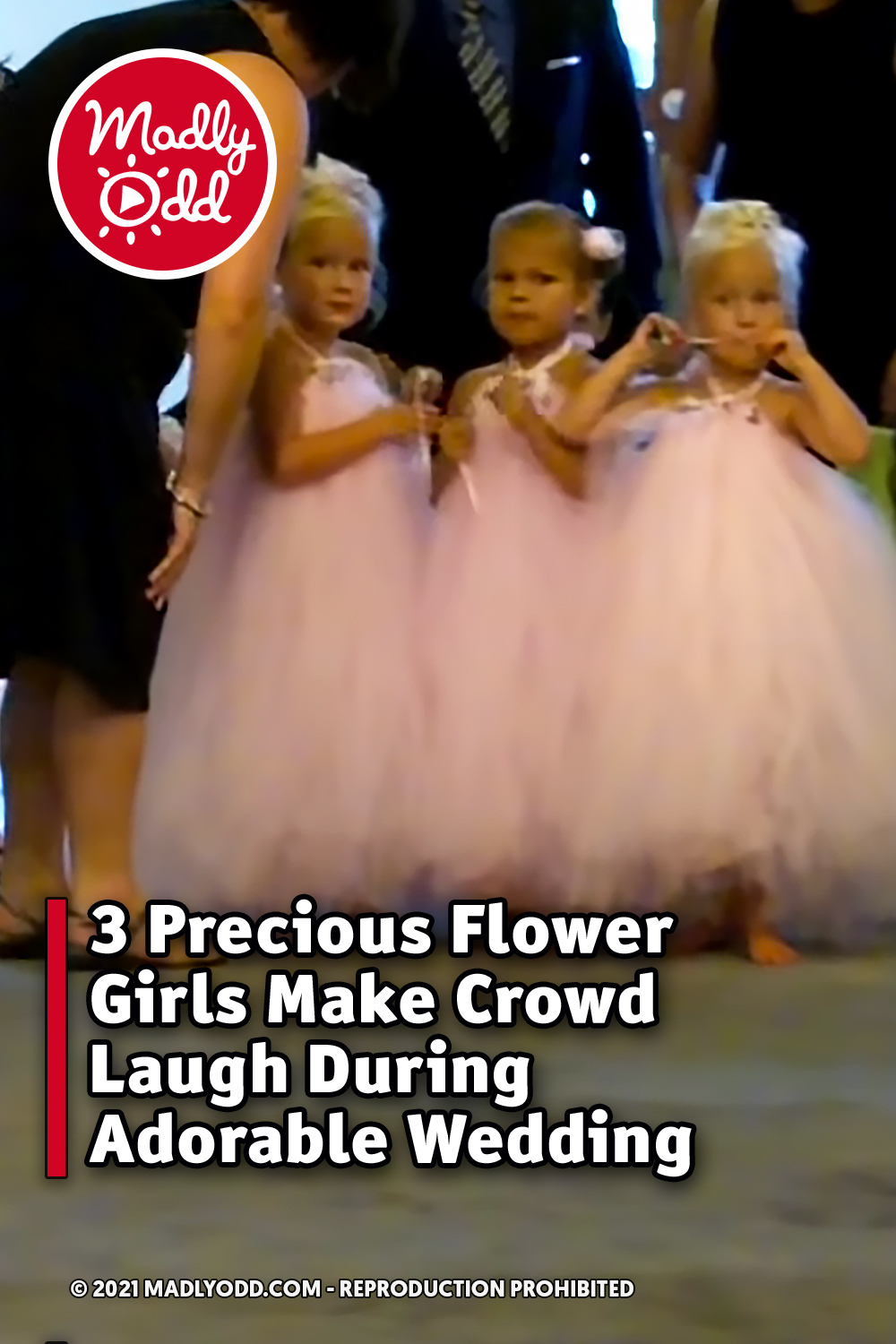 3 Precious Flower Girls Make Crowd Laugh During Adorable Wedding