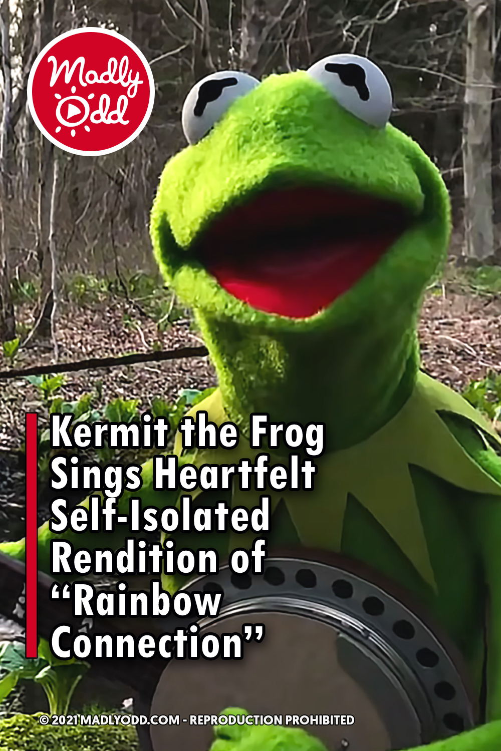 Kermit the Frog Sings Heartfelt Self-Isolated Rendition of “Rainbow Connection”