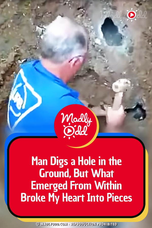 Man Digs a Hole in the Ground, But What Emerged From Within Broke My Heart Into Pieces