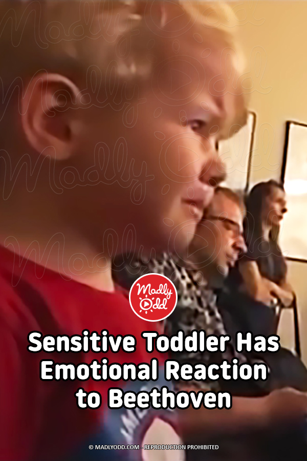 Sensitive Toddler Has Emotional Reaction to Beethoven