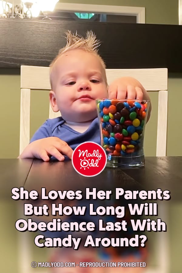 She Loves Her Parents But How Long Will Obedience Last With Candy Around?