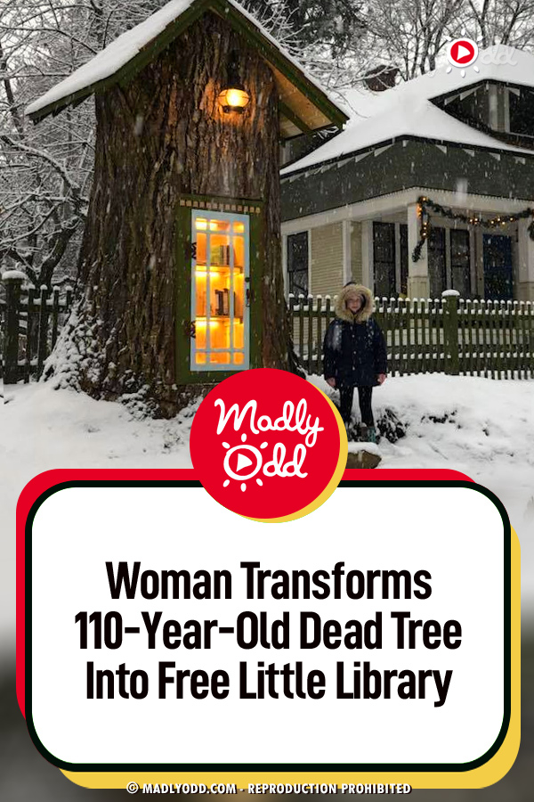 Woman Transforms 110-Year-Old Dead Tree Into Free Little Library - Take A Peek Inside