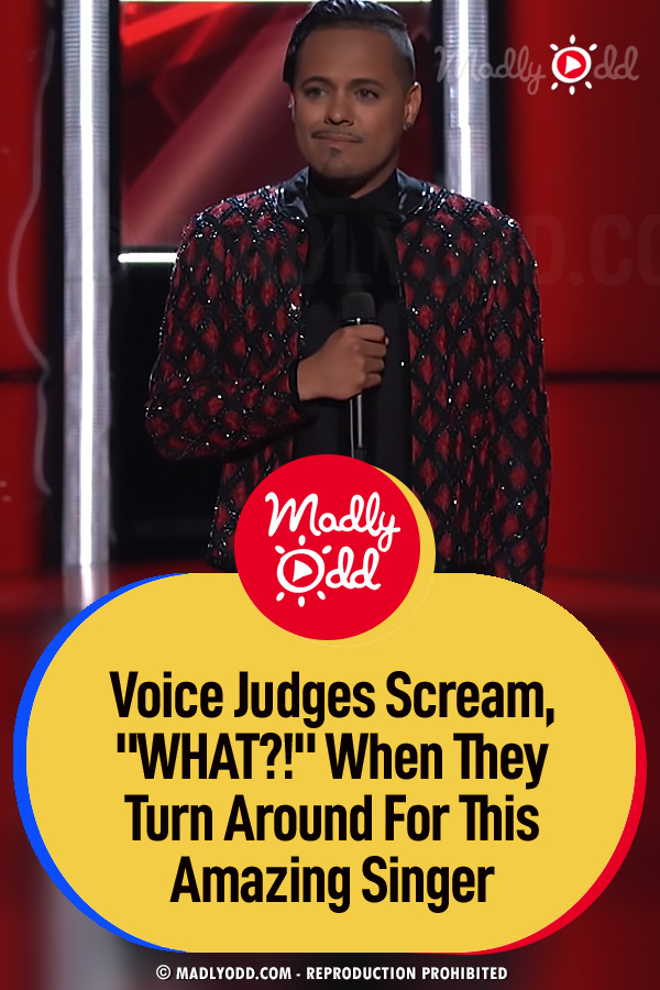 Voice Judges Scream, \