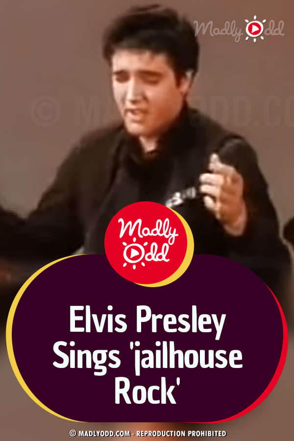 Elvis Presley Sings \'jailhouse Rock\' -- Let\'s Rock, Everybody, Let\'s Rock!