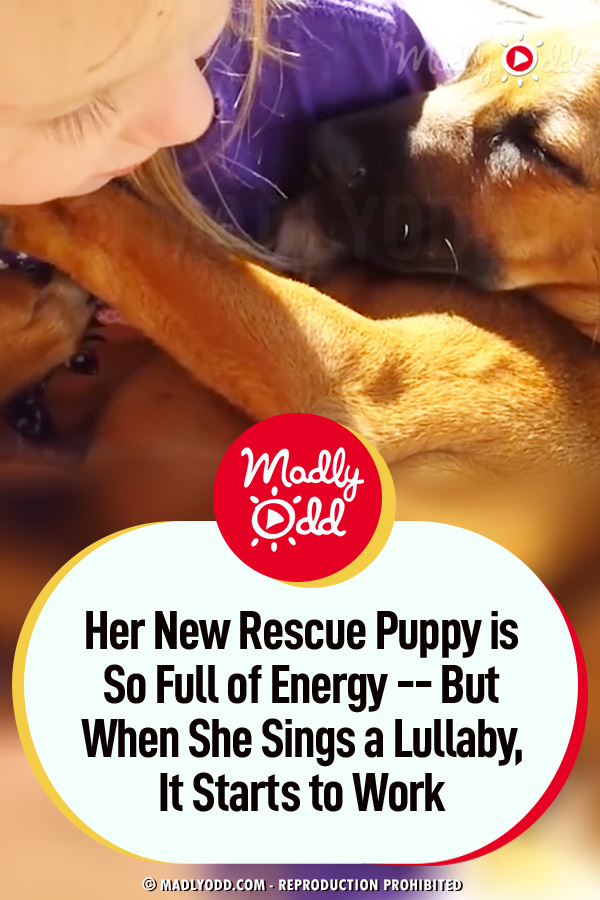 Her New Rescue Puppy is So Full of Energy -- But When She Sings a Lullaby, It Starts to Work