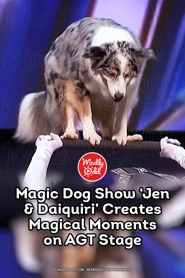Magic Dog Show ‘Jen & Daiquiri’ Creates Magical Moments on AGT Stage
