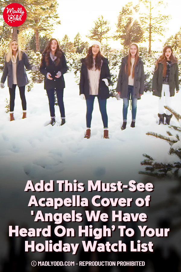 Add This Must-See Acapella Cover of \'Angels We Have Heard On High’ To Your Holiday Watch List