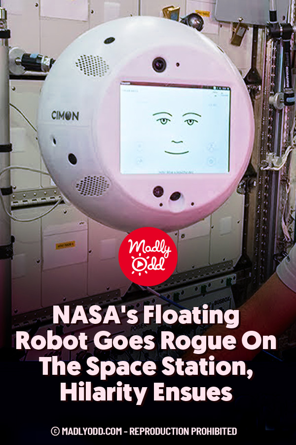 NASA\'s Floating Robot Goes Rogue On The Space Station, Hilarity Ensues