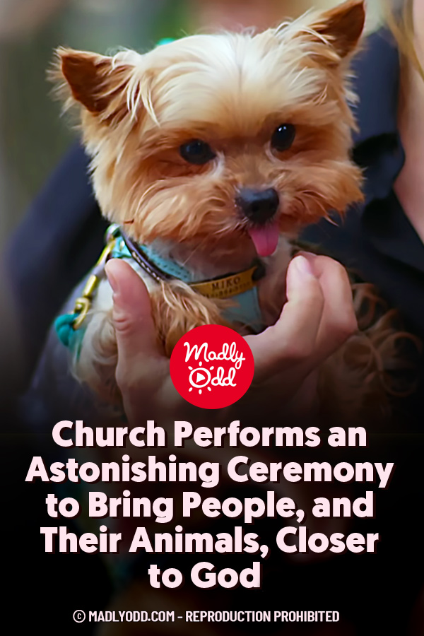 Church Performs an Astonishing Ceremony to Bring People, and Their Animals, Closer to God,
