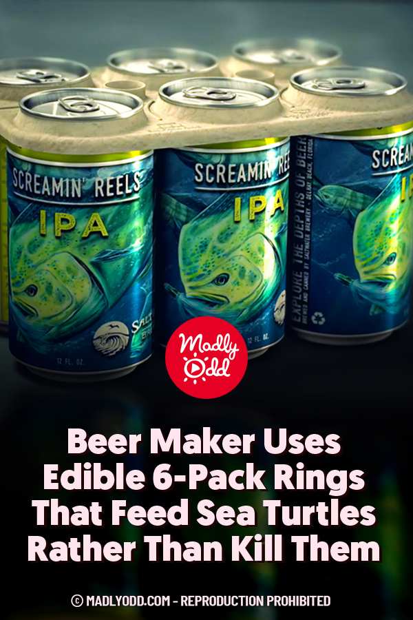 Beer Maker Uses Edible 6-Pack Rings That Feed Sea Turtles Rather Than Kill Them