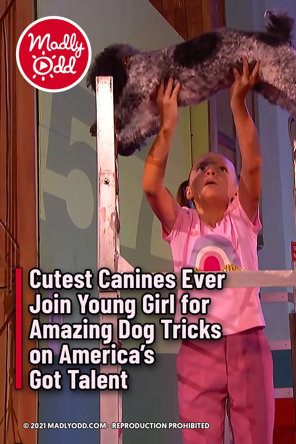 Cutest Canines Ever Join Young Girl for Amazing Dog Tricks on America’s Got Talent