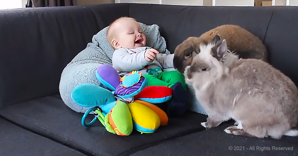 Baby and bunnies are having the time of their lives