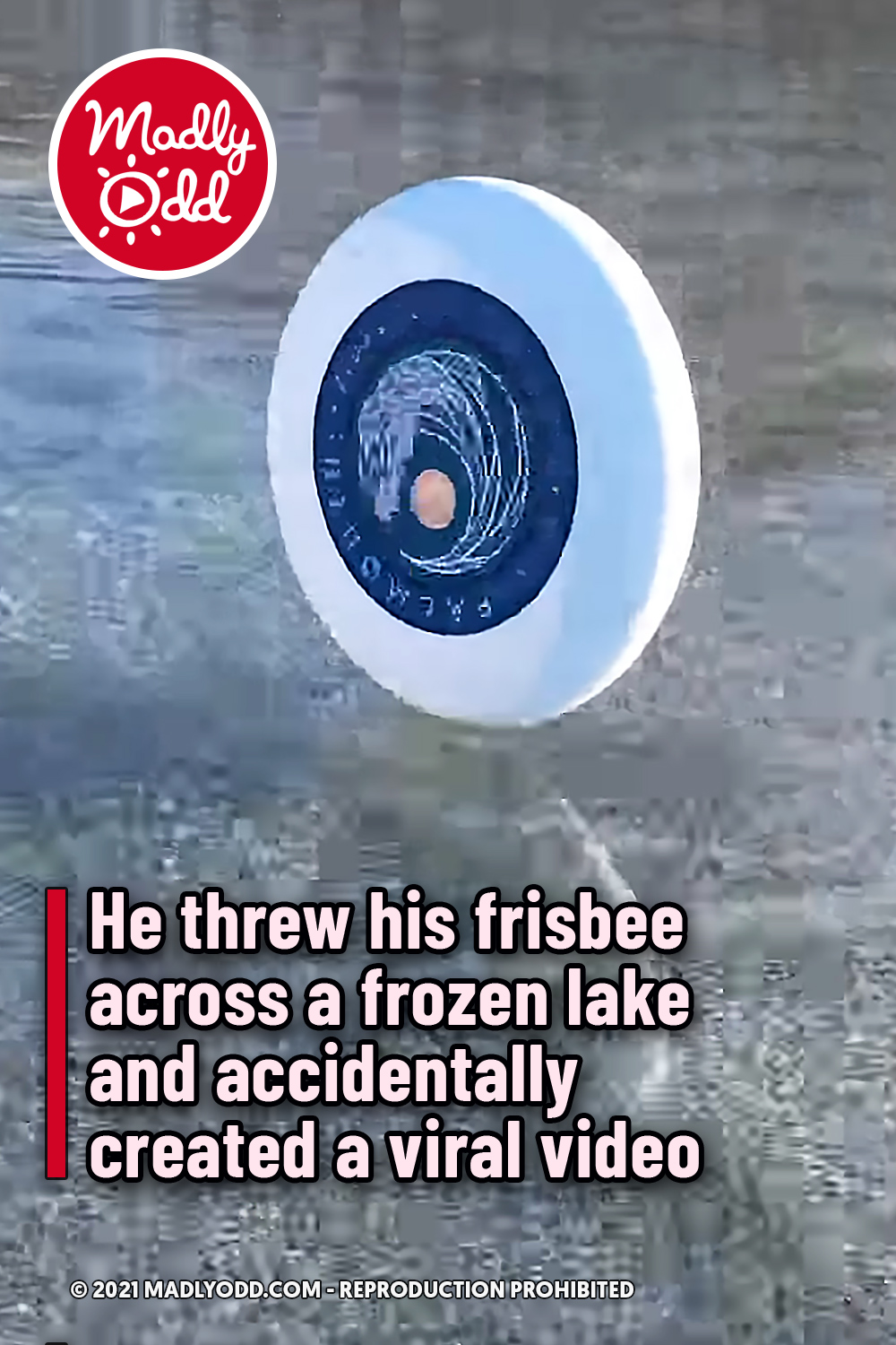 He threw his frisbee across a frozen lake and accidentally created a viral video