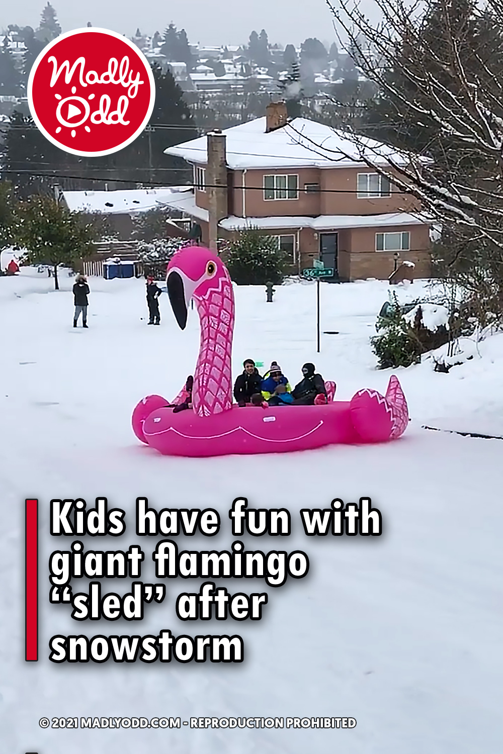 Kids have fun with giant flamingo “sled” after snowstorm