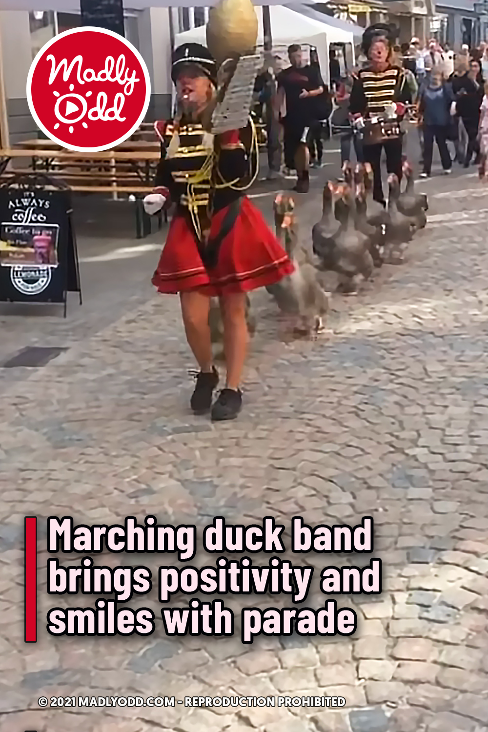 Marching geese band brings positivity and smiles with parade