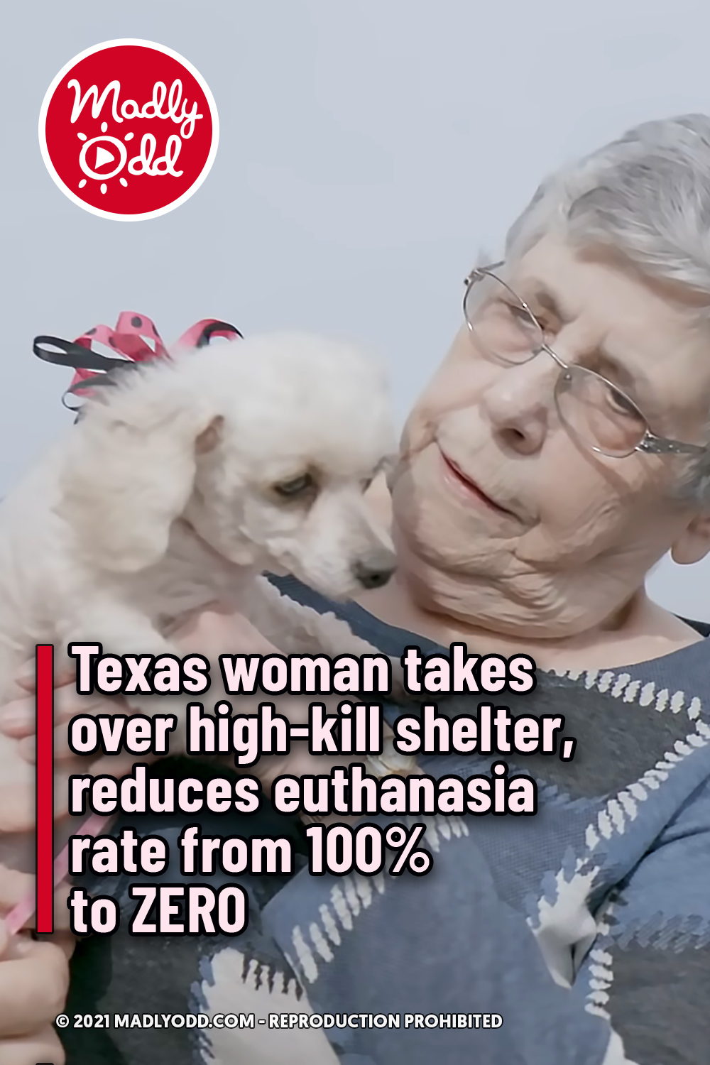 Texas woman takes over high-kill shelter, reduces euthanasia rate from 100% to ZERO