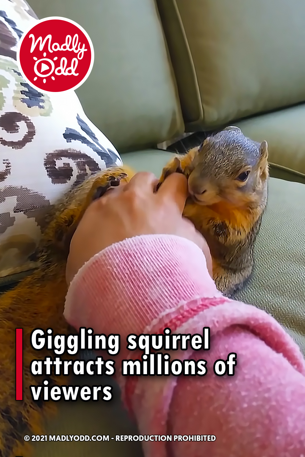 Giggling squirrel attracts millions of viewers