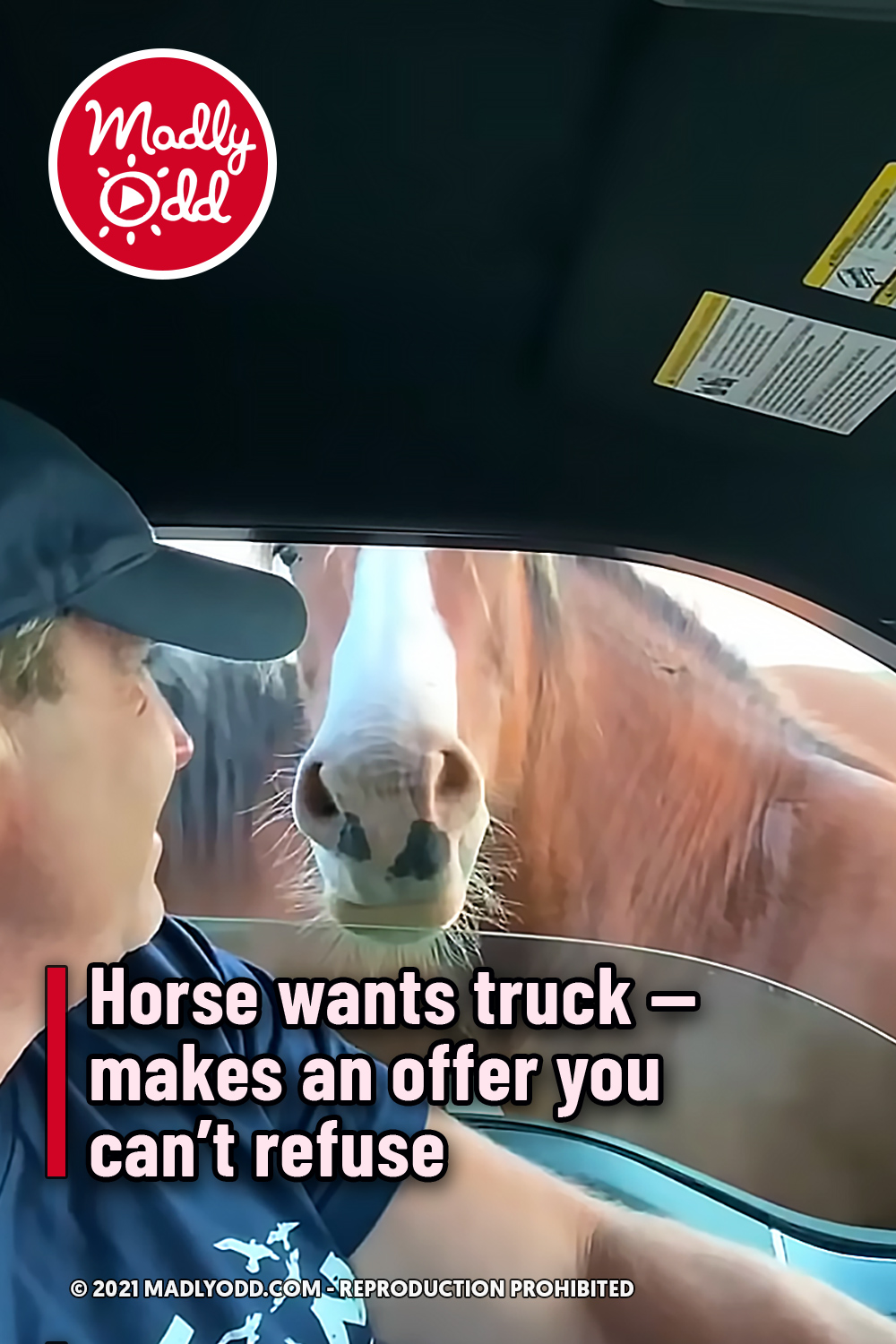 Horse wants truck — makes an offer you can’t refuse