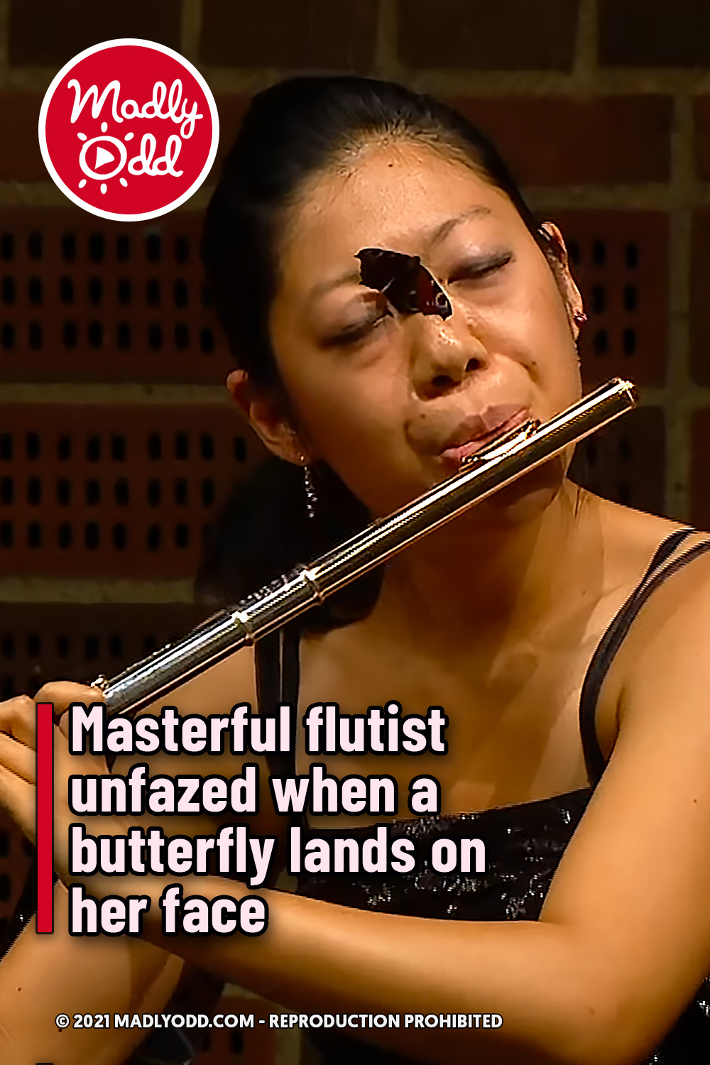 Masterful flutist unfazed when a butterfly lands on her face