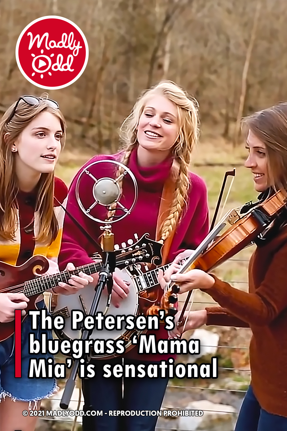 The Petersen’s bluegrass ‘Mama Mia’ is sensational