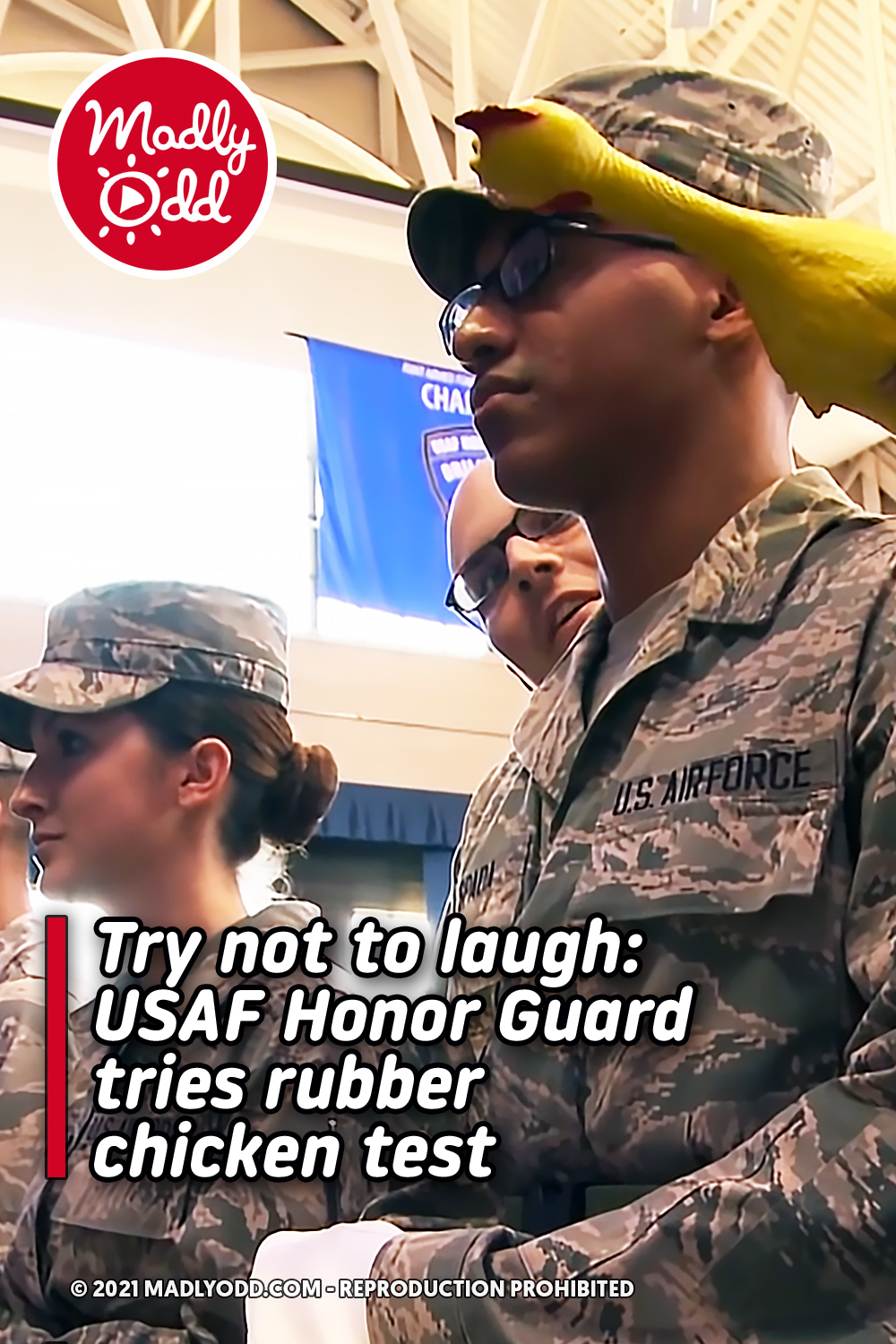 Try not to laugh: USAF Honor Guard tries rubber chicken test