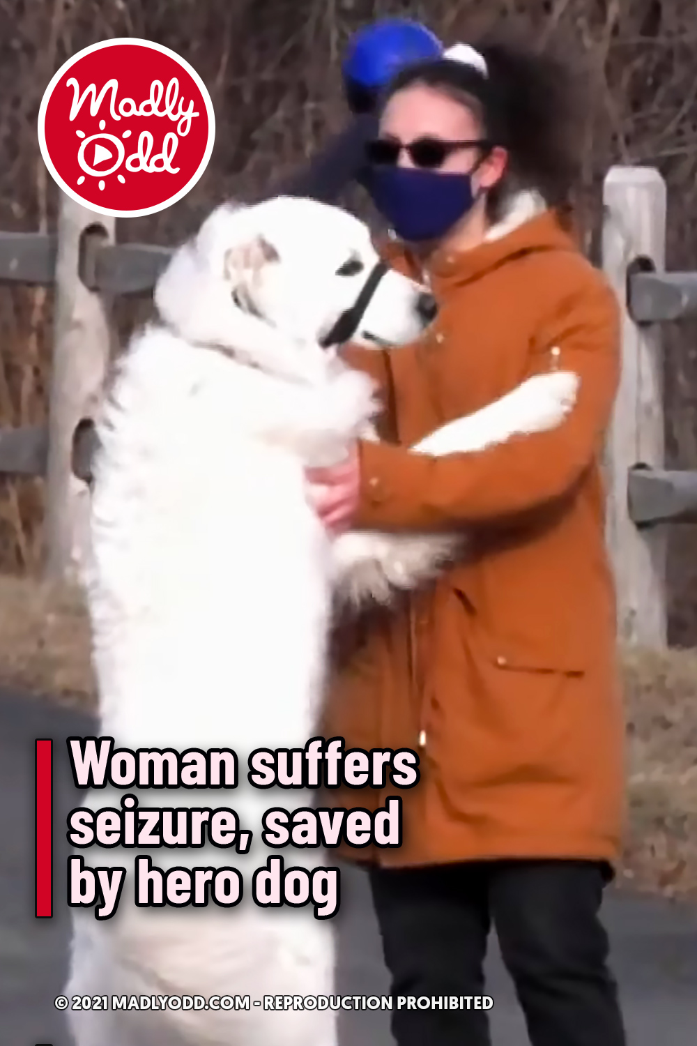 Woman suffers seizure, saved by hero dog
