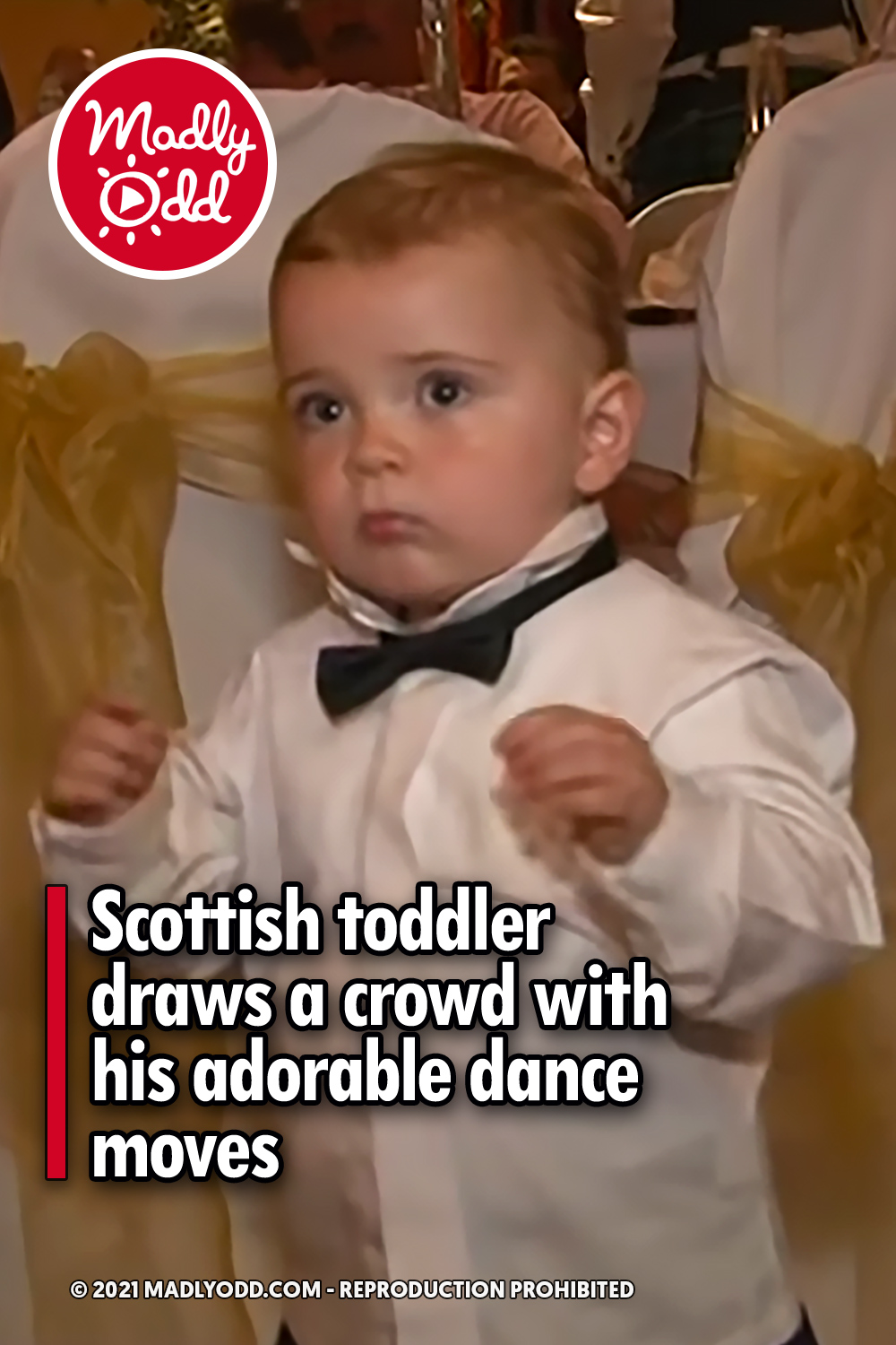 Scottish toddler draws a crowd with his adorable dance moves