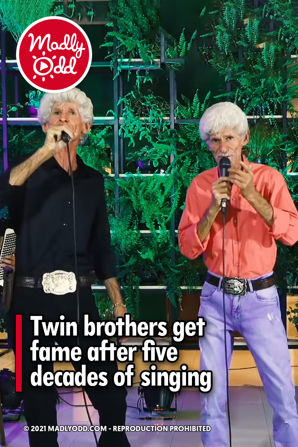 Twin brothers get fame after five decades of singing