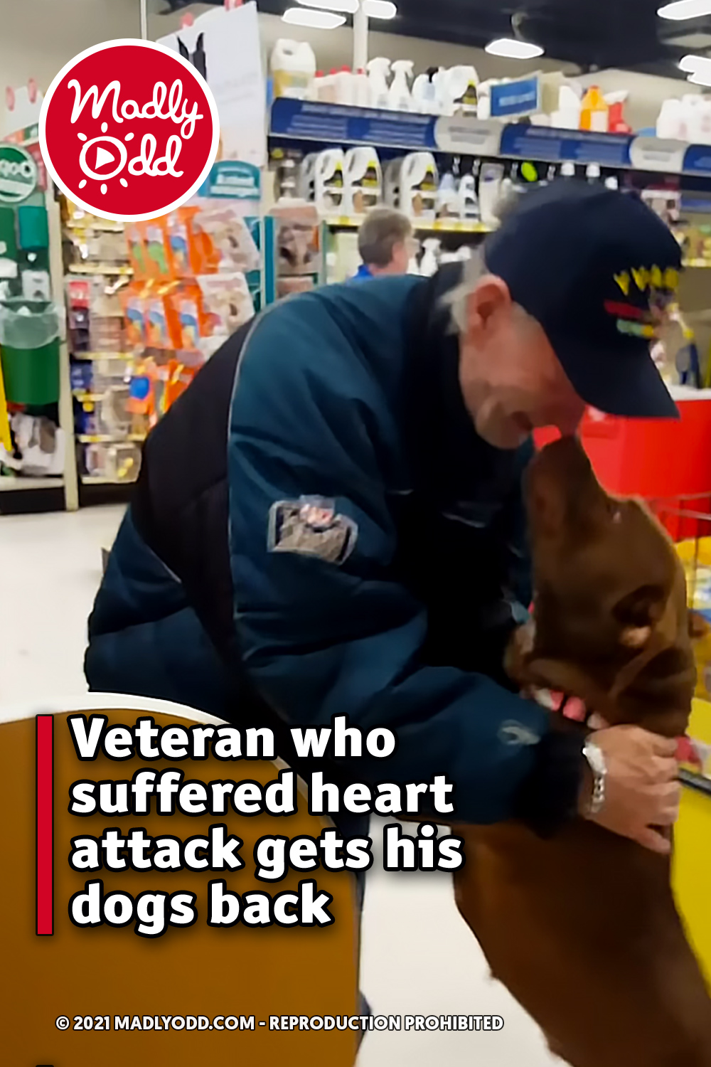 Veteran who suffered heart attack gets his dogs back