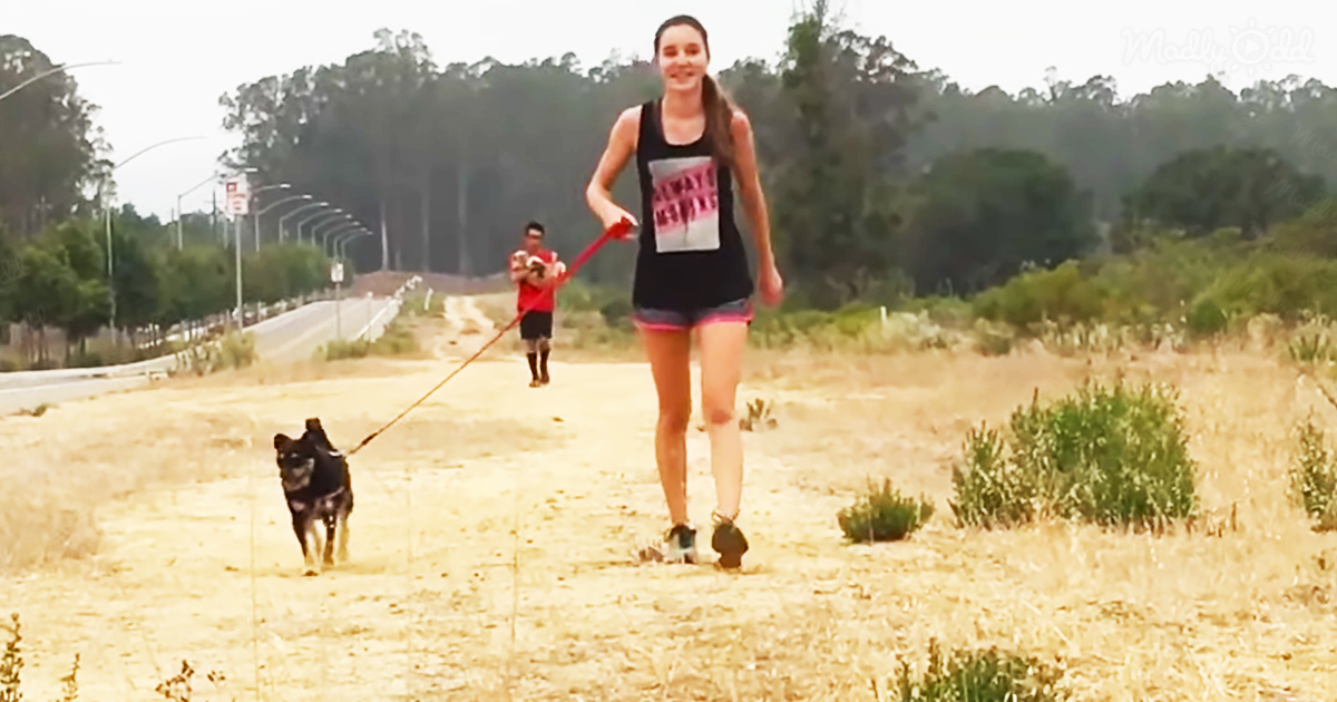 Shelter dogs join the cross country team to make a bigger team