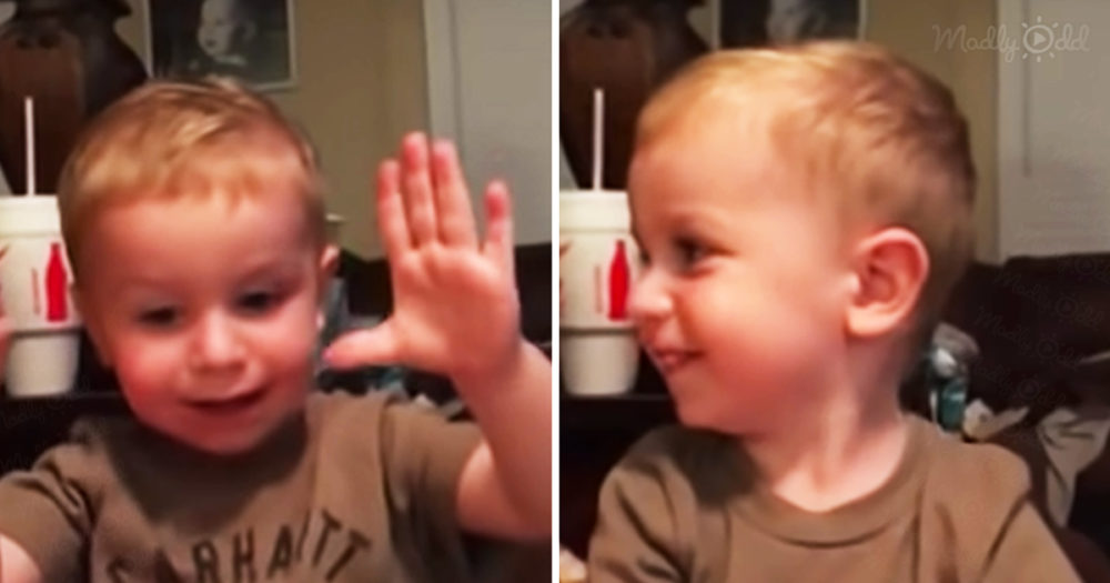 Toddler with southern drawl tells story about a cow