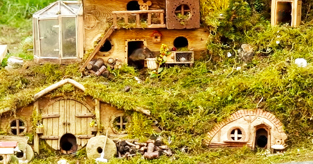 https://150168010.v2.pressablecdn.com/wp-content/uploads/2021/08/OG1-Man-builds-incredible-Hobbit-style-village-for-mice-in-his-garden.jpg