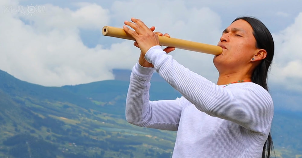 Wuauquikuna covers ‘The Sound of Silence’ with Pan flute