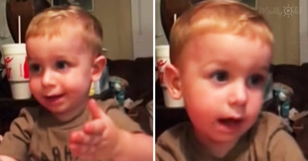 Toddler with southern drawl tells story about a cow