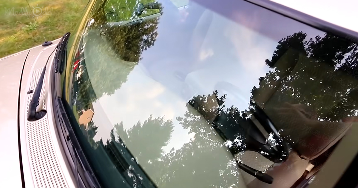 Clean the inside of car windshield