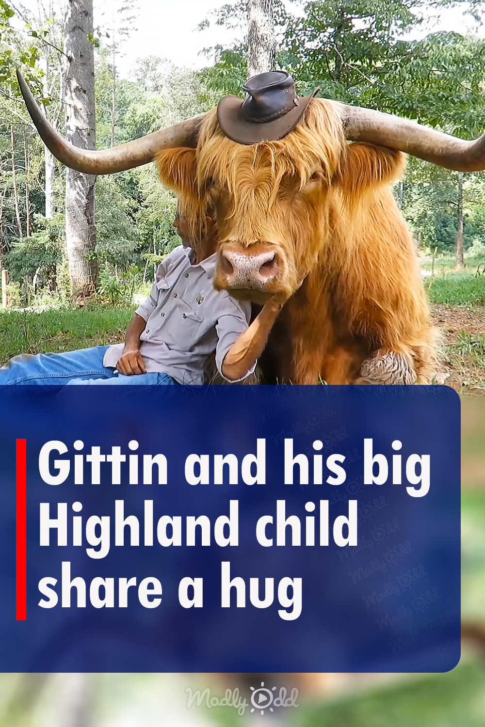 Gittin and his big Highland child share a hug
