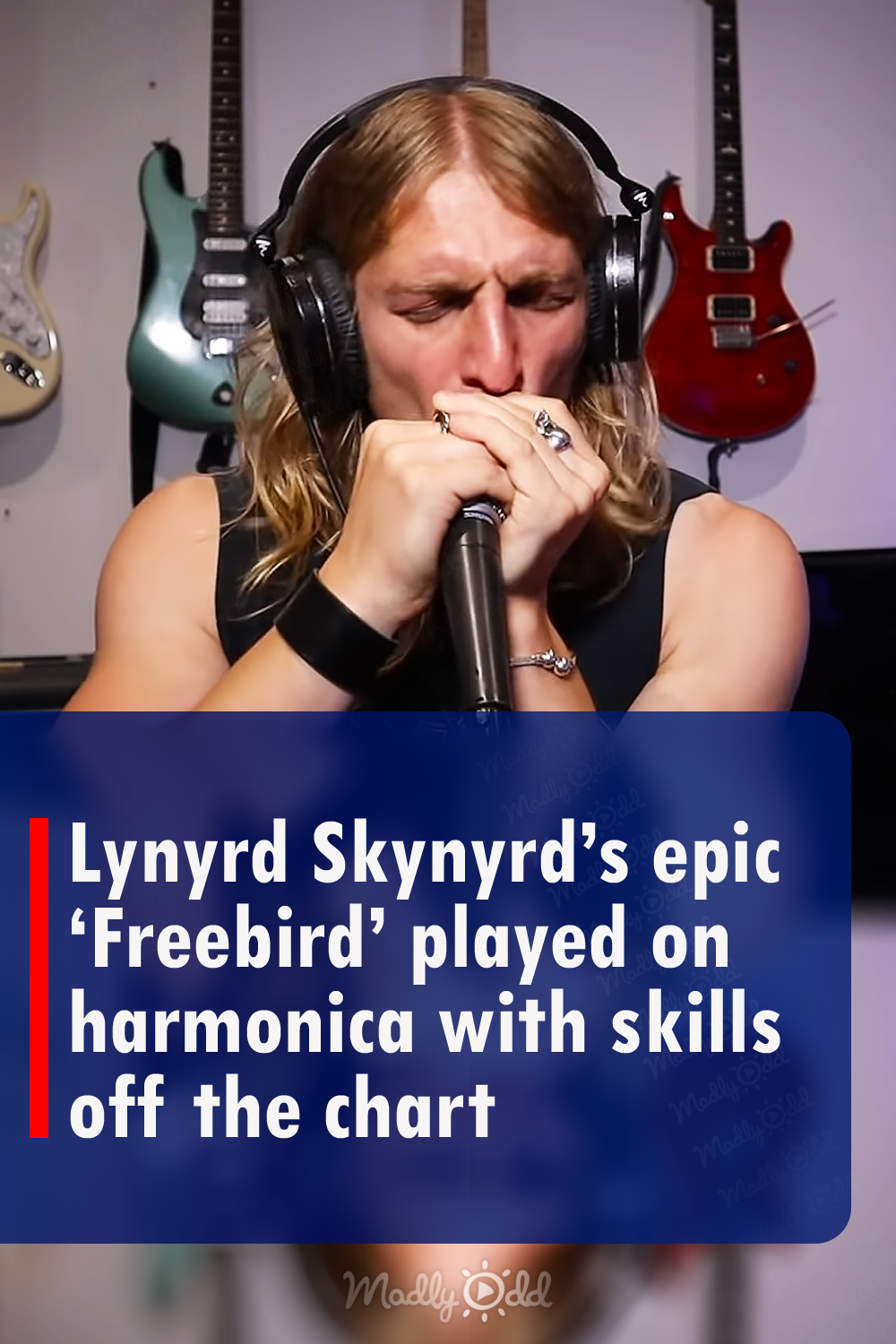 Lynyrd Skynyrd’s epic ‘Freebird’ played on harmonica with skills off the chart