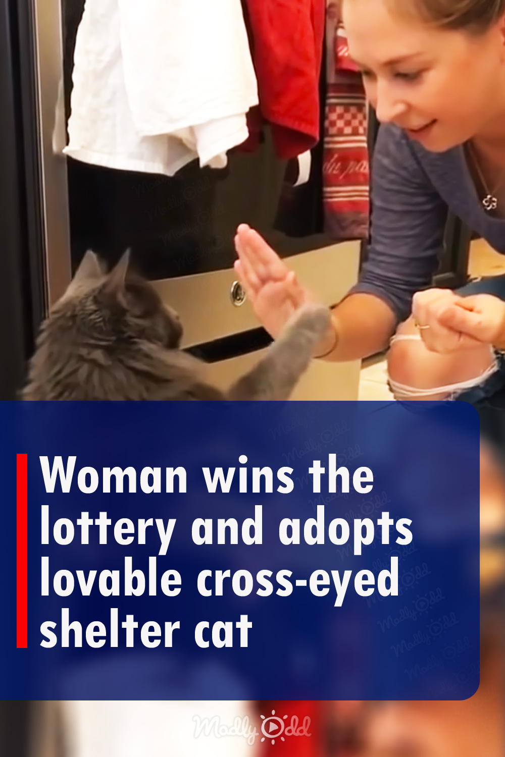 Woman wins the lottery and adopts lovable cross-eyed shelter cat