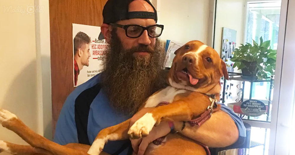 dog dad carries paralyzed shelter pup