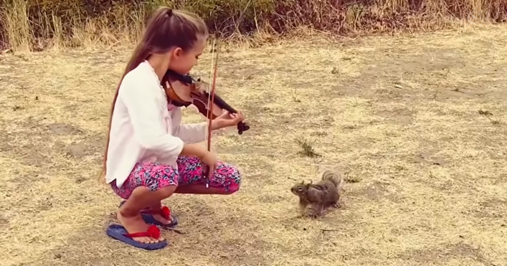 Girl serenades adorable squirrel