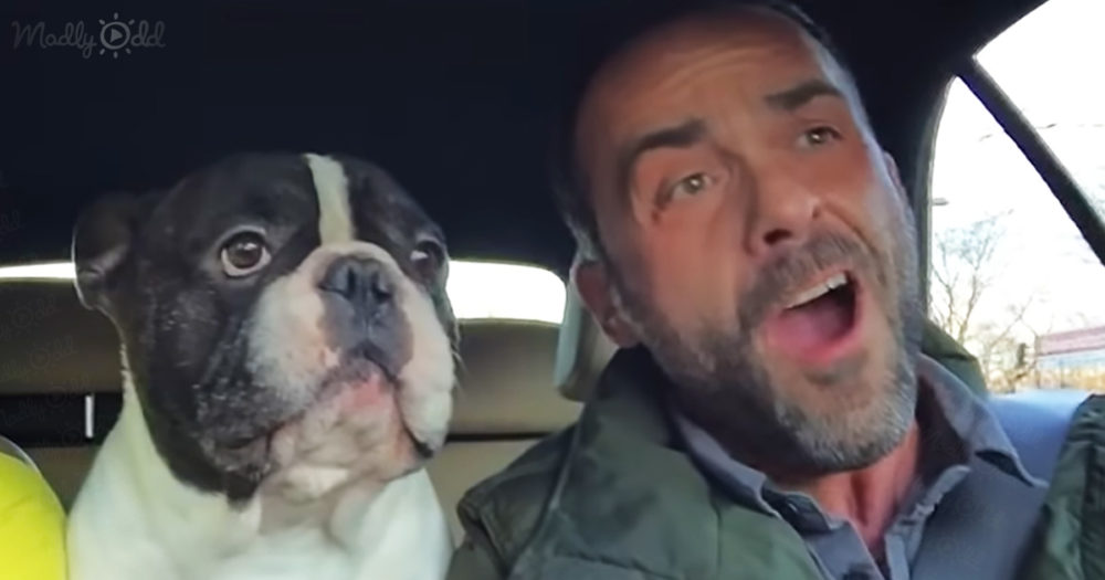 Bulldog Sings 'Time To Say Goodbye'