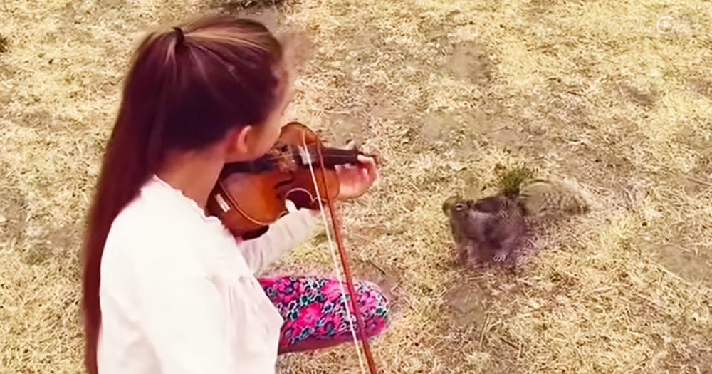 Girl serenades adorable squirrel